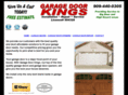 garagedoorkings.com