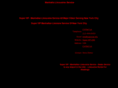 manhattanlimousineservice.com