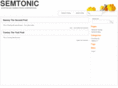 semtonic.com