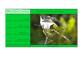 thewebdevco.com