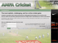 amfa-cricket.com