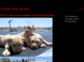 castlekingpits.com