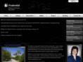 deborahslieberman.com