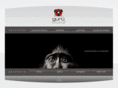 guruconsultores.com