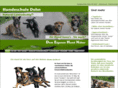 hundeschule-dehn.de