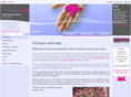 medical-chitosan.com