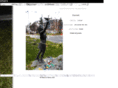 stari.org