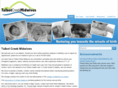 talbotcreekmidwives.com