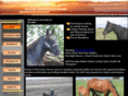 srphorses.com