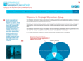 strategicmomentumgroup.com
