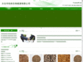 tchengsenny.com