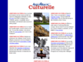 assistanceculturelle.com