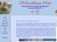 chihuahuamiei.com