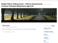 globalfiltros.com