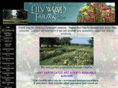 lilywood.com