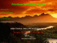 petroleumdirectionalservices.com