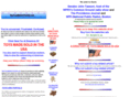 buytoysmadeintheusa.com