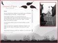 dreamsofspirit.com