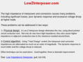 lowzinterposer.com