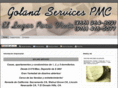 golandservices.net