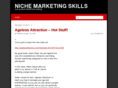 nichemarketingskills.com