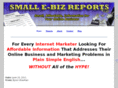 smalle-bizreports.com
