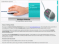 bizopps-website.com