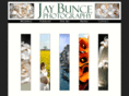 jaybunce.com