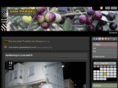 vanpassel.net