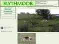 blythmoor.com