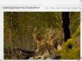 harringtonphotography.com
