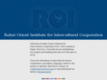 orient-institute.com