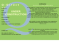q-director.com