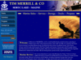 timmerrillandco.com