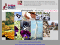 activeshotz.com