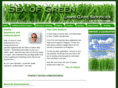 seaofgreenlawn.com
