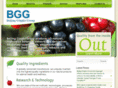 bggworld.com