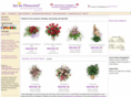 floristssingapore.com