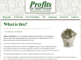 profitsonwallstreet.com