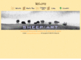 sheepart.com