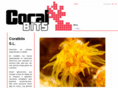 coralbits.com