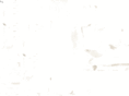 lfmart.com