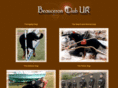 beauceronclubuk.org