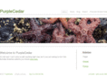 purplecedar.com