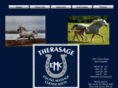 therasageemc.com