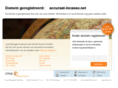 accuraat-incasso.net