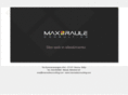 maxrauleconsulting.com