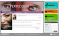 perfeccion-novela.com