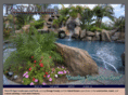 rock-pools-southern-california.com