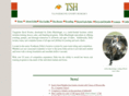 tangerinesporthorses.com